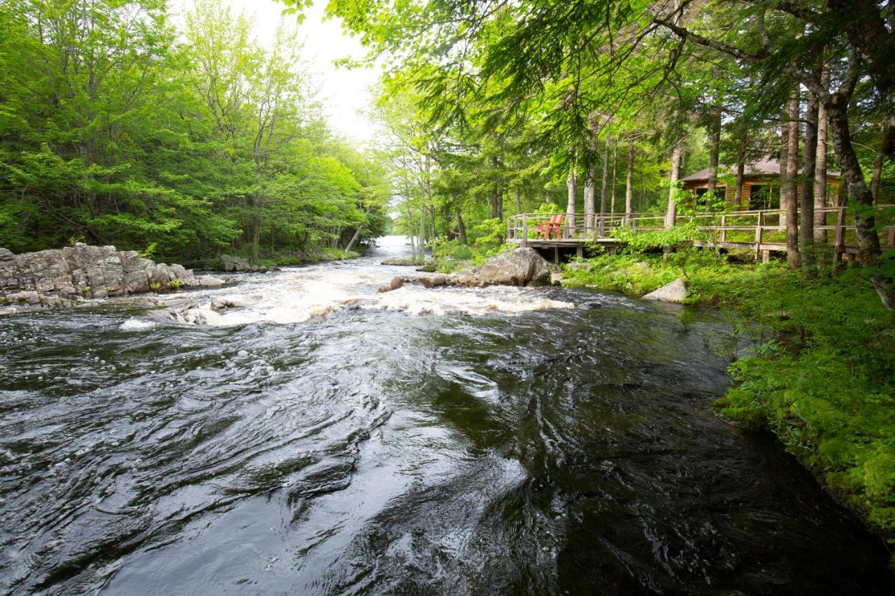 Mersey River Chalets A Nature Retreat Caledonia 外观 照片